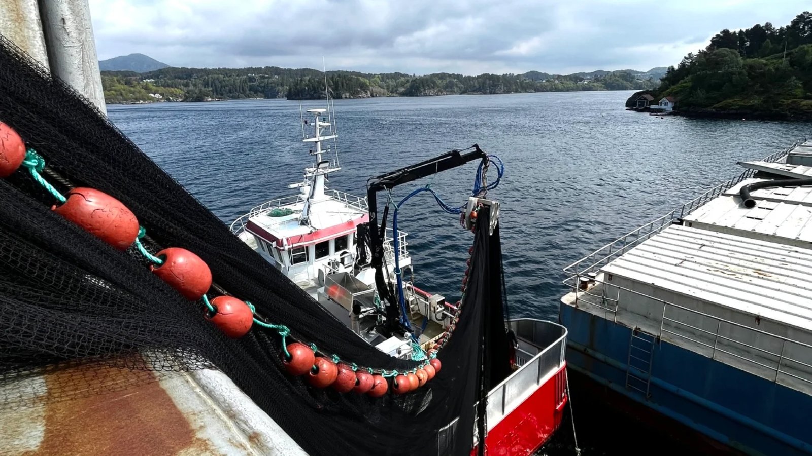 Fiskebåt med garn og bøyer